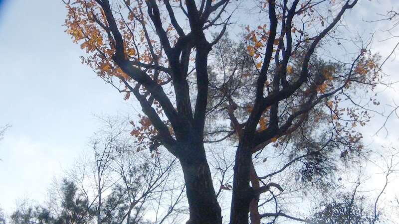 사본--DSC01919.jpg