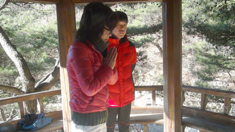 사본--Recovered_Jan_27_2015_800.jpg